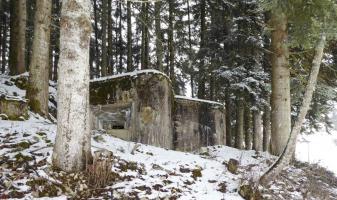 Ligne Maginot - LES CHAZEAUX OUEST - (Blockhaus pour arme infanterie) - 