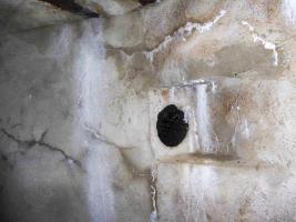 Ligne Maginot - LES CHAZEAUX OUEST - (Blockhaus pour arme infanterie) - 