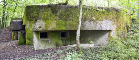 Ligne Maginot - BOIS de KANFEN Est - C43 (Casemate d'infanterie) - 