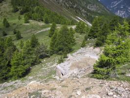 Ligne Maginot - COL FROMAGE - (Abri) - 