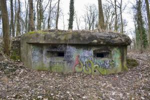 Ligne Maginot - FORT FRERE - (Blockhaus pour arme infanterie) - 