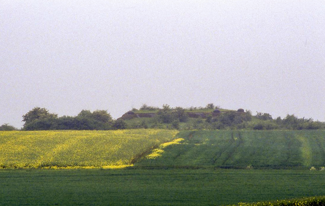 Ligne Maginot - BOIS DU FOUR - A5 - (Ouvrage d'infanterie) - Vu depuis la N52