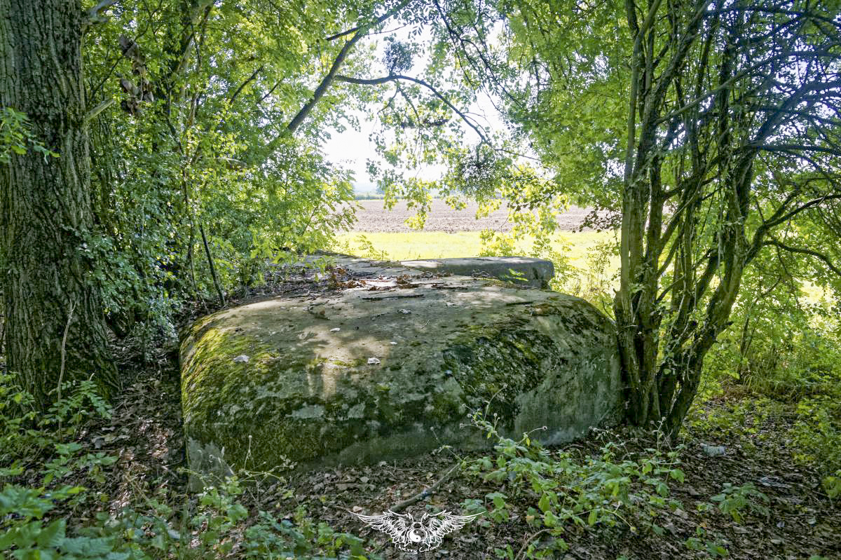 Ligne Maginot - KIESSELBACH 2 - (PC) -  - Thierry Caland