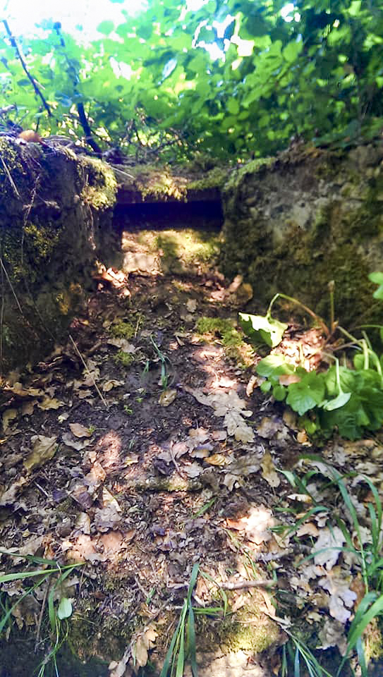 Ligne Maginot - WEISSENACKER - (Blockhaus de type indeterminé) - 
