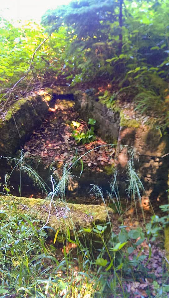 Ligne Maginot - WEISSENACKER - (Blockhaus de type indeterminé) - 