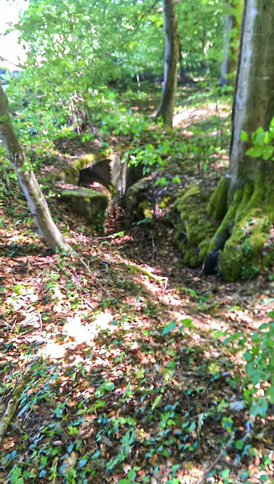 Ligne Maginot - WEISSENACKER 2 - (Blockhaus de type indeterminé) -  - Gilbert Hastert