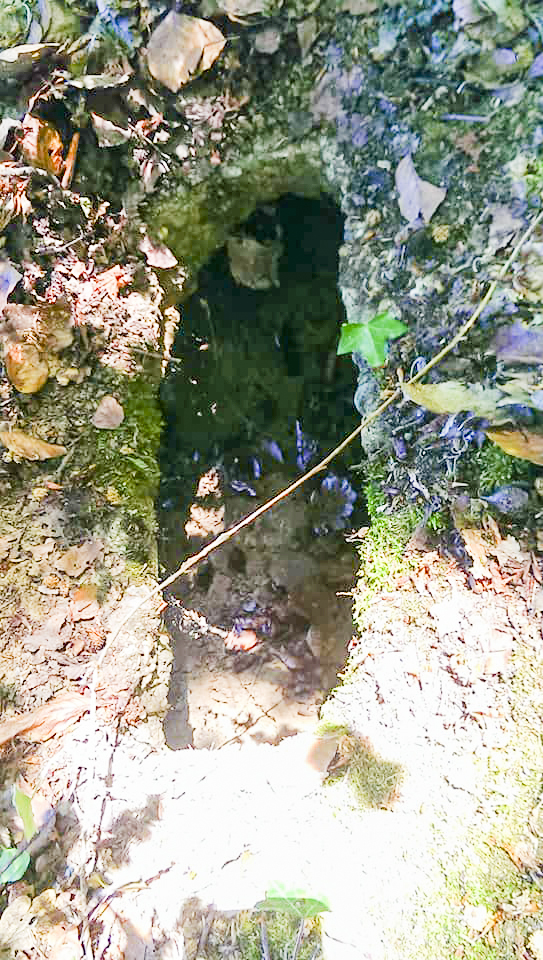 Ligne Maginot - WEISSENACKER 2 - (Blockhaus de type indeterminé) - Orifice pour periscope de campagne. - Gilbert Hastert