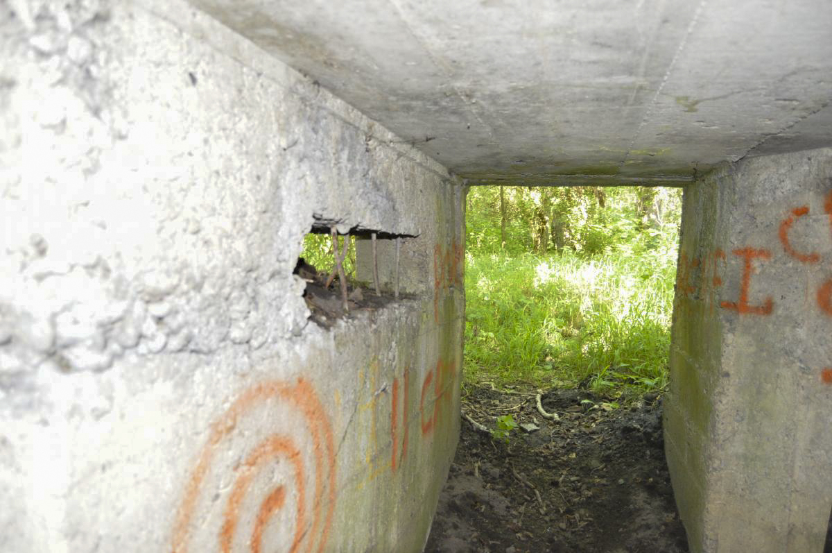 Ligne Maginot - LES GLIERES 2 - (Blockhaus pour arme infanterie) - 2016