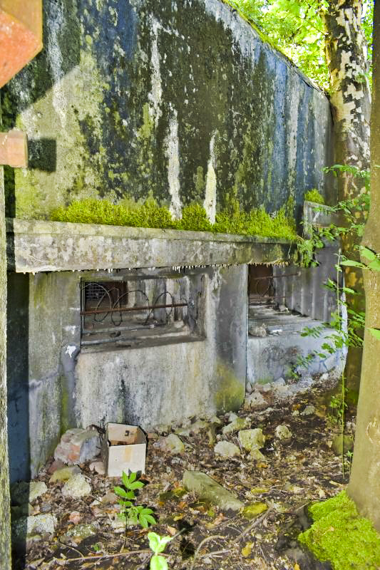 Ligne Maginot - 27/3 - FRIESENHEIM - (Casemate d'infanterie - Double) - Créneaux JM à gauche et JM + Canon à droite