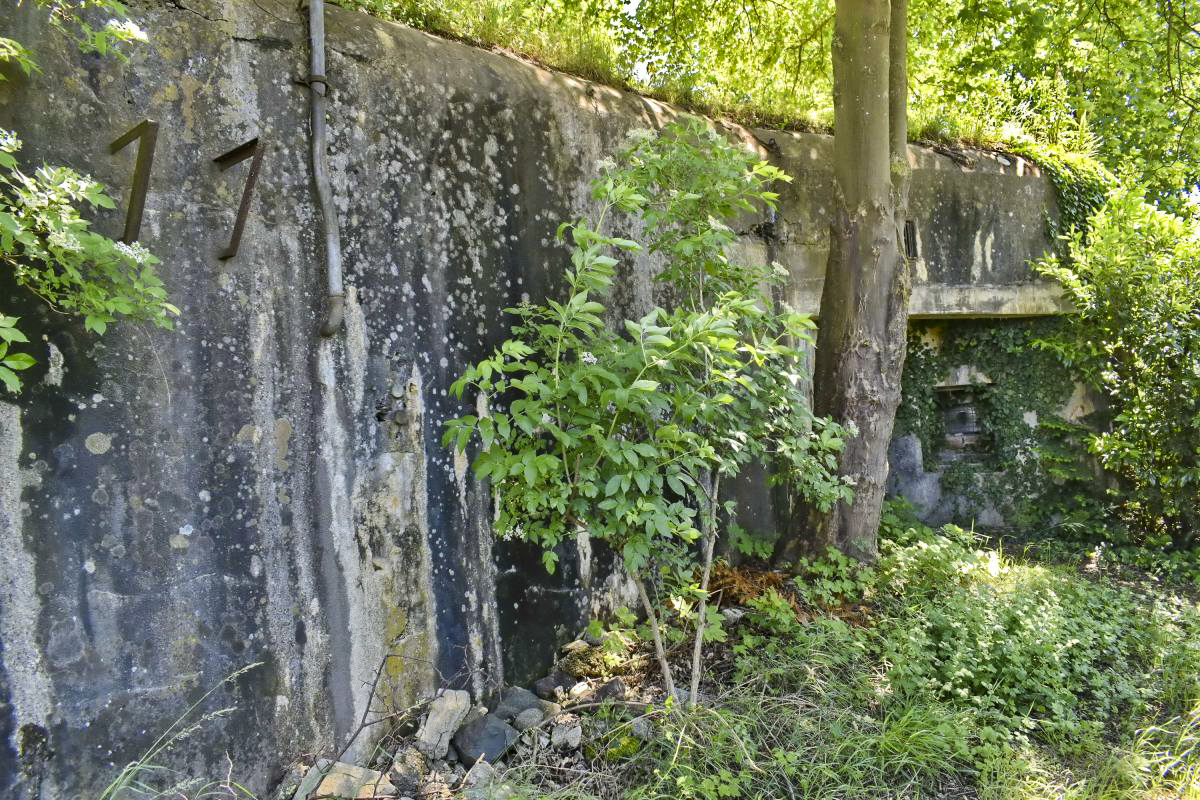 Ligne Maginot - 27/3 - FRIESENHEIM - (Casemate d'infanterie - Double) - Façade de l'entrée. Entrée masquée par l'arbre, et son créneau de défense.