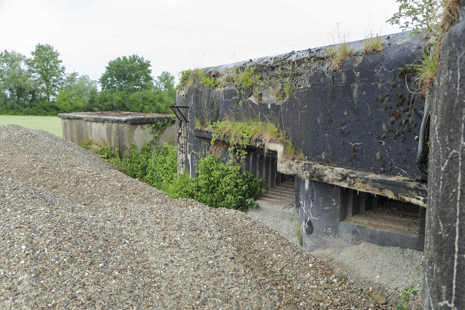 Ligne Maginot - 24/3 - ZIEGELHOF - (Casemate d'infanterie - double) - 