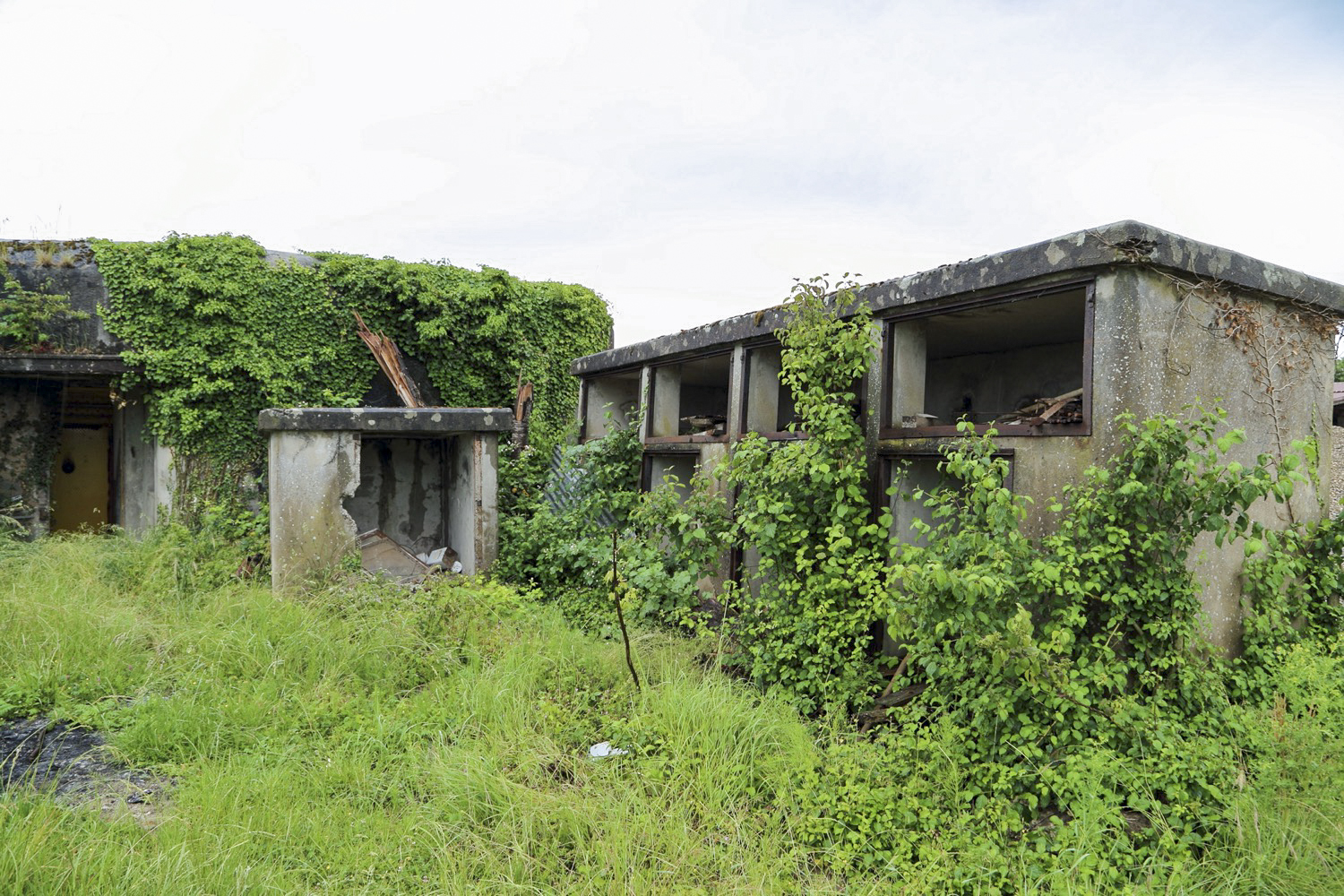 Ligne Maginot - 24/3 - ZIEGELHOF - (Casemate d'infanterie - double) - 