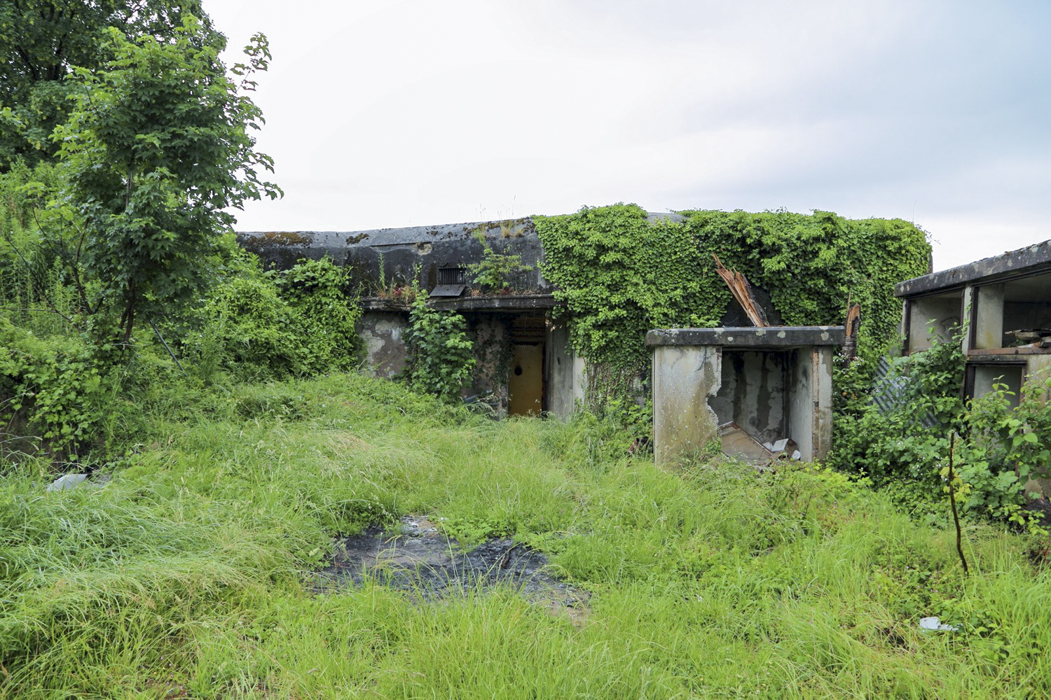 Ligne Maginot - 24/3 - ZIEGELHOF - (Casemate d'infanterie - double) -  - A. SCHOEN