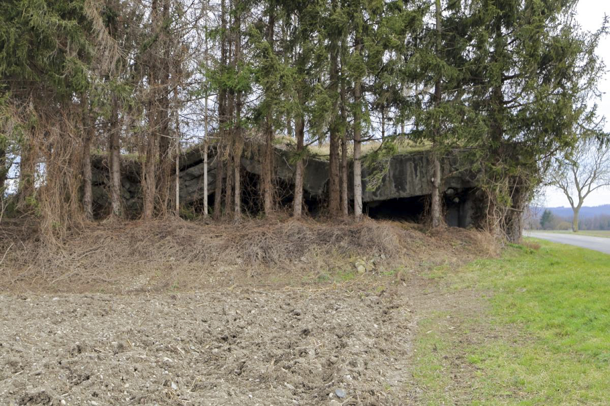 Ligne Maginot - 38/3 - BALTZENHEIM - (Casemate d'infanterie - Double) -  - A. SCHOEN