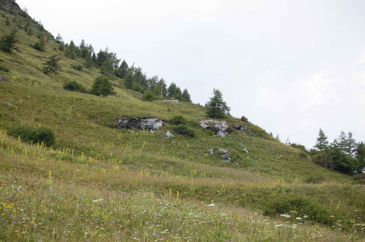 Ligne Maginot - REVETS - (Ouvrage d'infanterie) - À gauche bloc 1, à droite bloc 2, à l'arrière-plan bloc 3 (l'observatoire)