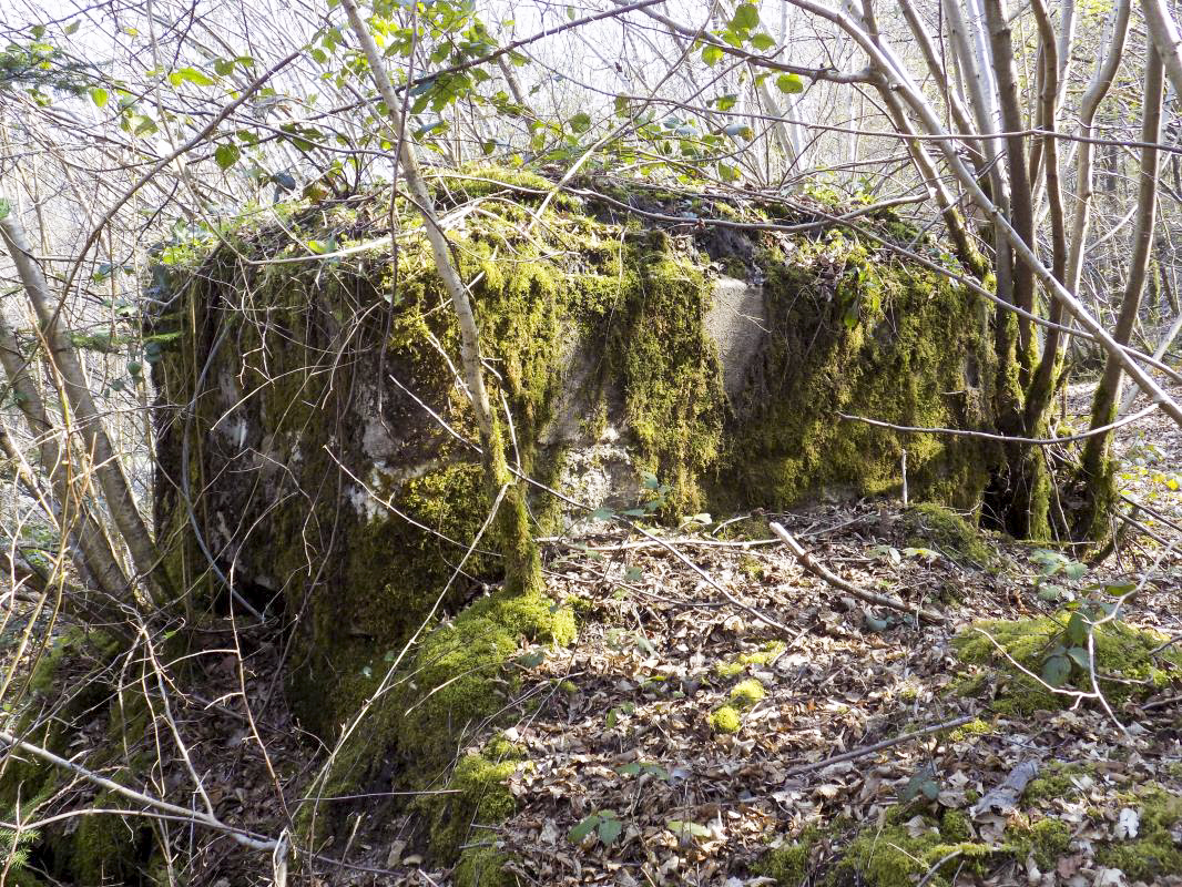 Ligne Maginot - BA106 - ROUTE DE REVIN 3 - (Blockhaus pour arme infanterie) - Face gauche - R Tucker