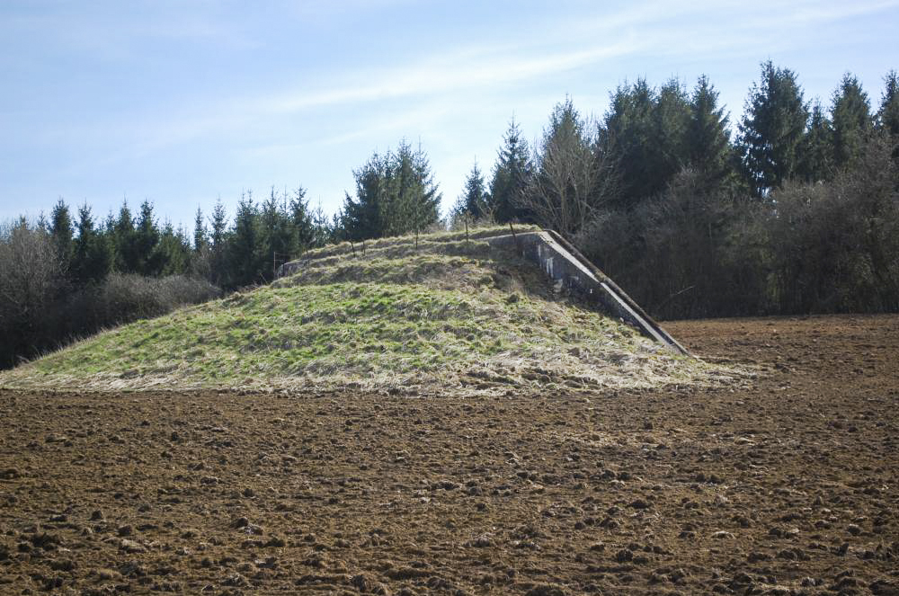 Ligne Maginot - MB121 - (Blockhaus pour canon) - Blockhaus en plein champ, forêt à proximité. Tres imposant de loin.