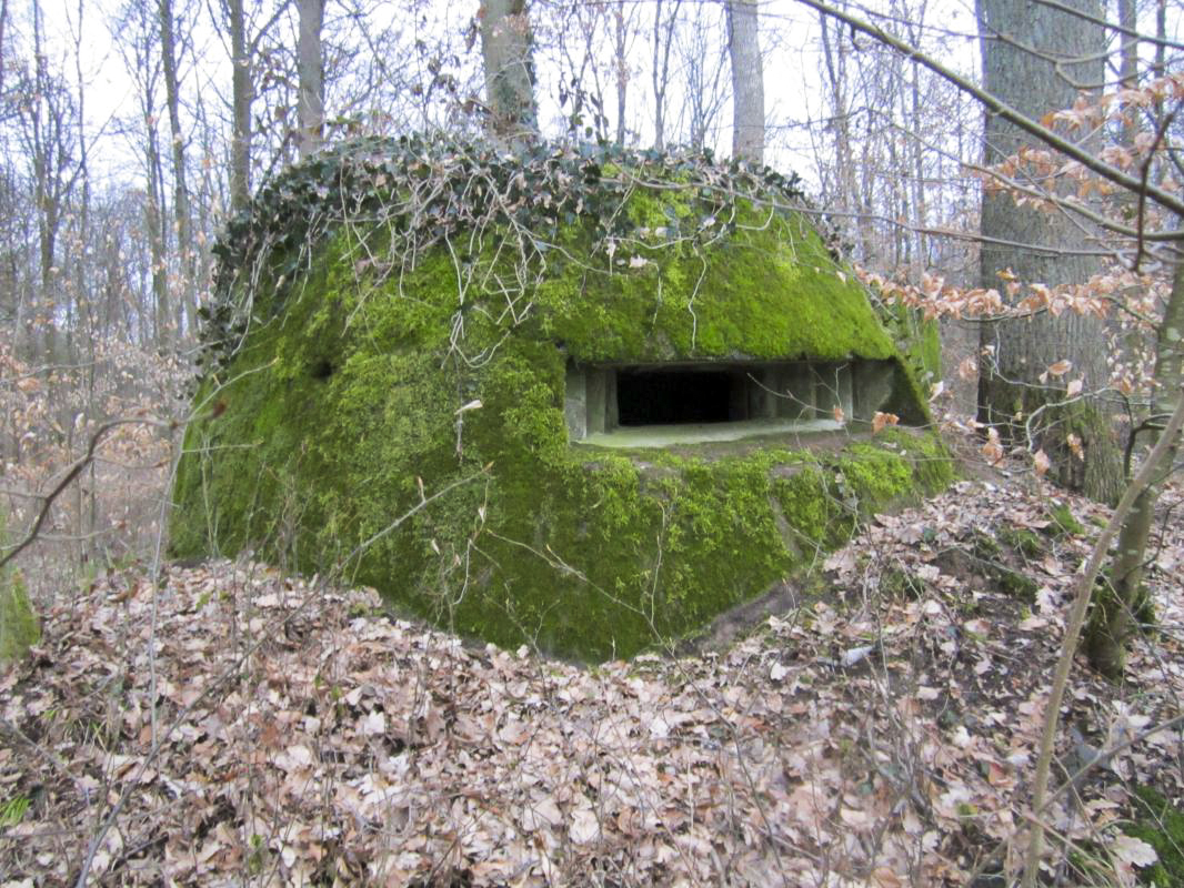 Ligne Maginot - SANDMUEHLE NORD - (Blockhaus pour arme infanterie) - 