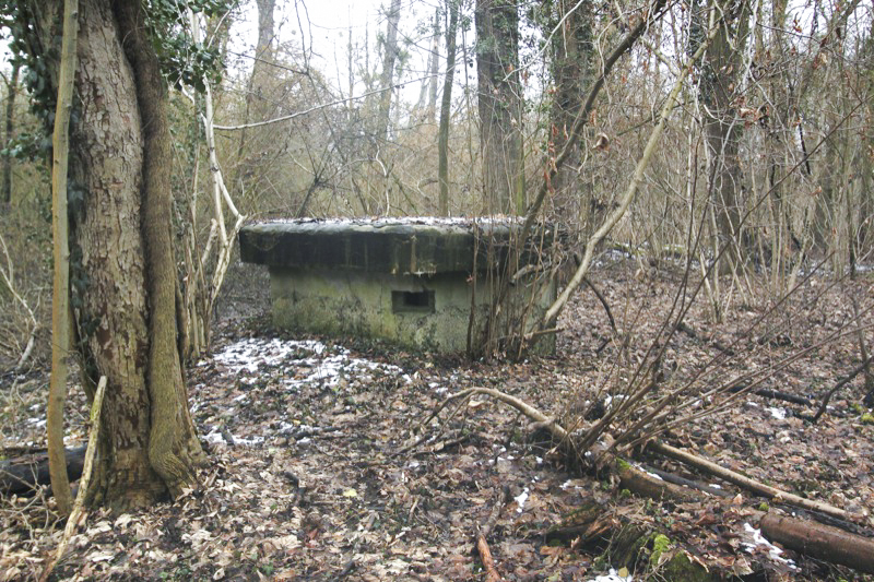 Ligne Maginot - 57 - STEINGIESSEN - (Blockhaus pour arme infanterie) - Vue générale
