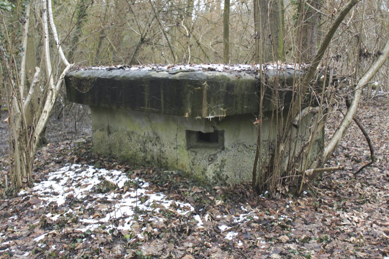 Ligne Maginot - 57 - STEINGIESSEN - (Blockhaus pour arme infanterie) - Vue générale