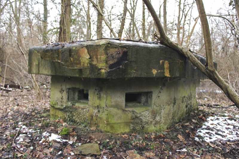 Ligne Maginot - 57 - STEINGIESSEN - (Blockhaus pour arme infanterie) - Vue générale