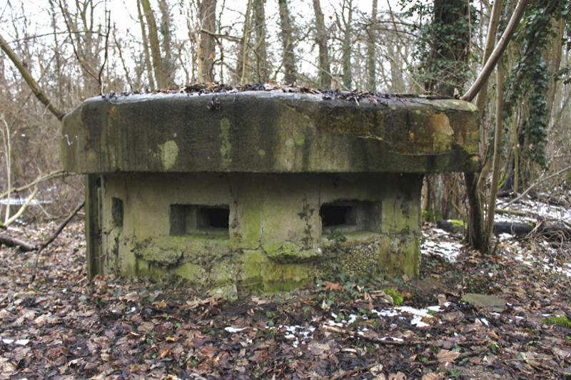 Ligne Maginot - 57 - STEINGIESSEN - (Blockhaus pour arme infanterie) - Vue générale