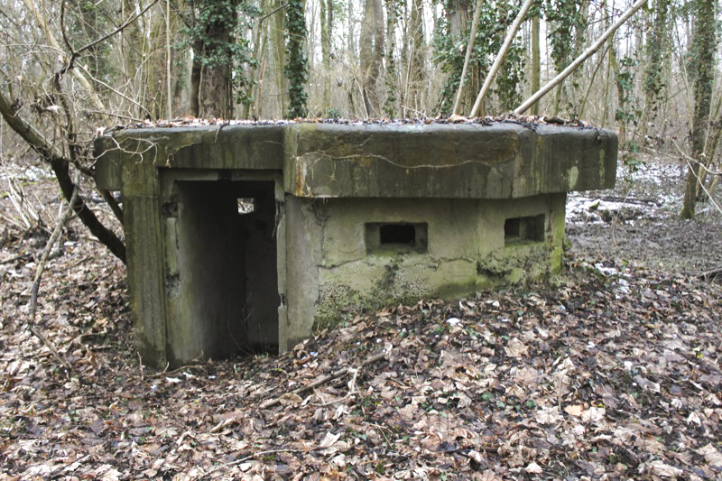 Ligne Maginot - 57 - STEINGIESSEN - (Blockhaus pour arme infanterie) - Vue générale