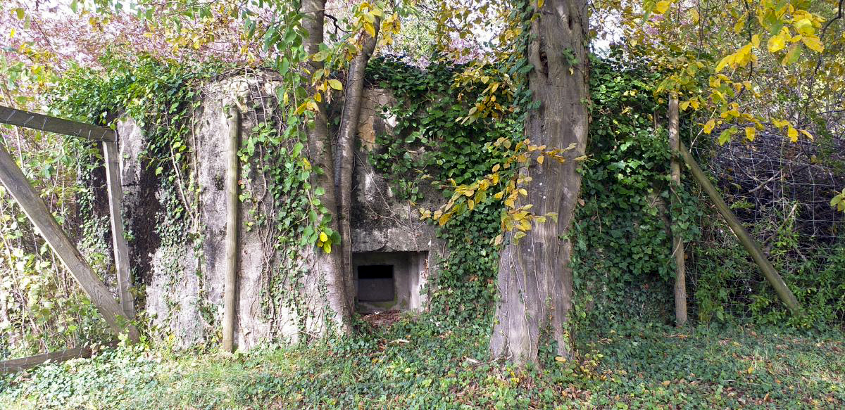 Ligne Maginot - BAHLIEN - (Abri) - Créneau sud-est