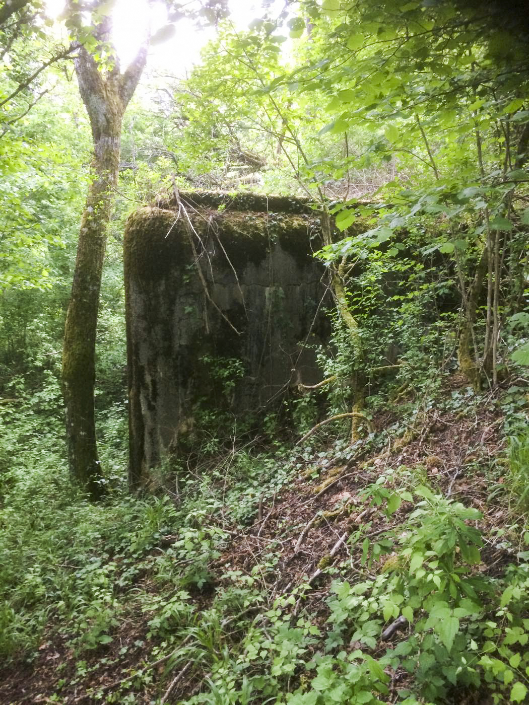 Ligne Maginot - BELLEVUE - (Central téléphonique d'observation) - 