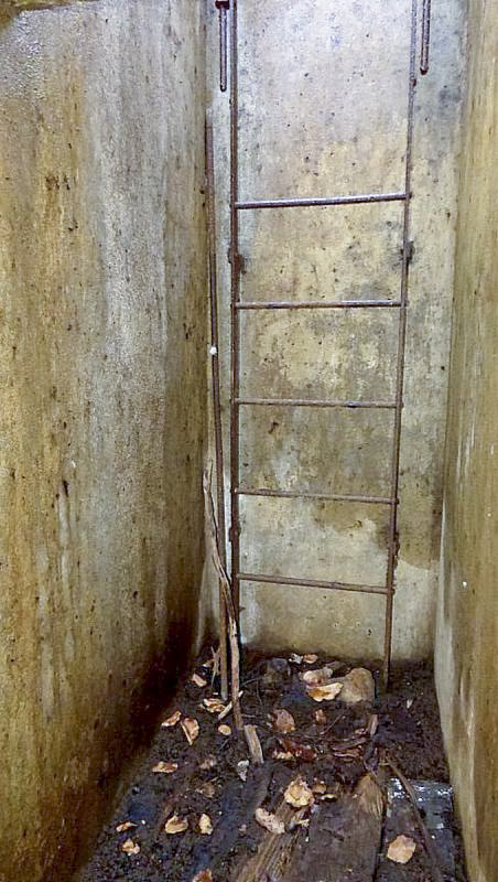 Ligne Maginot - 75T - (Chambre de coupure) - Échelle d'accès