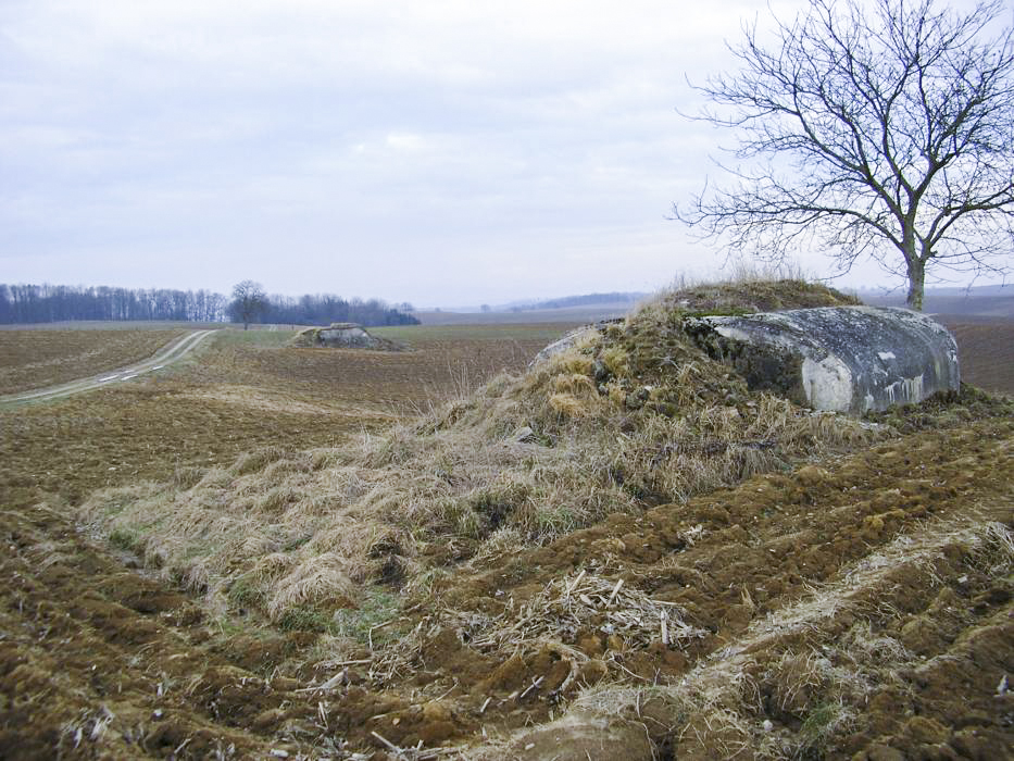 Ligne Maginot - EICHELBERG SUD - RAVIN MICONNET - (Blockhaus pour canon) - Les deux blockhaus Eichelberg sud et nord