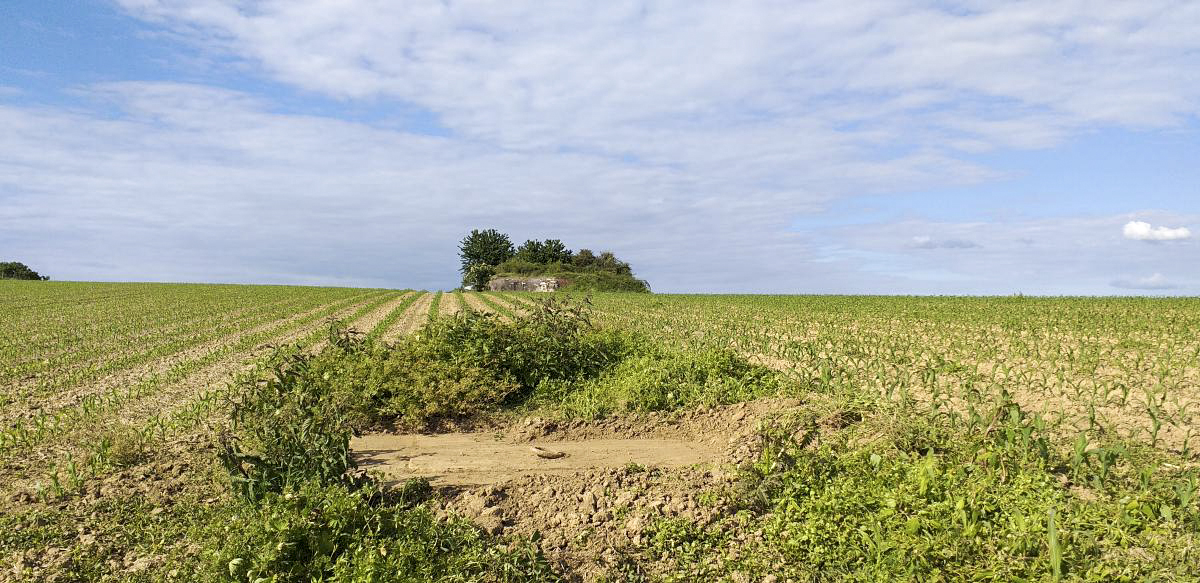 Ligne Maginot - OBERROEDERN NORD - (Casemate d'infanterie - Double) - Regard de visite de l'égout