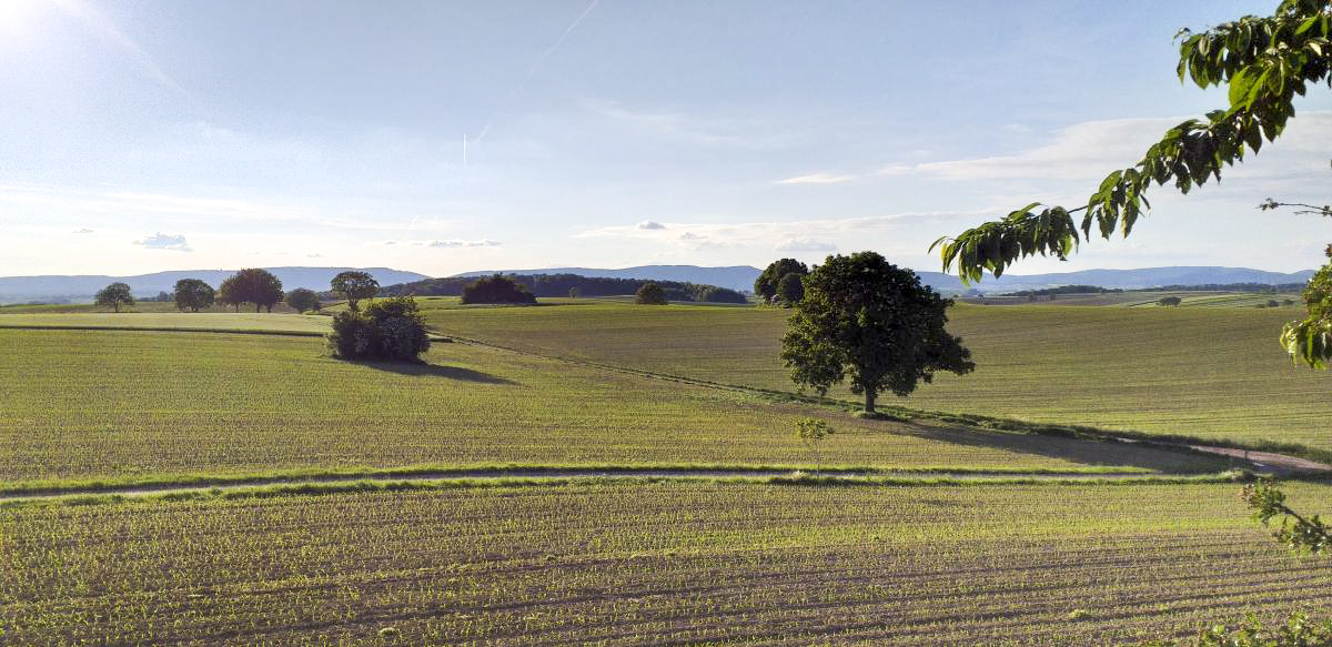 Ligne Maginot - OBERROEDERN NORD - (Casemate d'infanterie - Double) - Vue depuis la cloche GFM nord-ouest (vers bloc Kerneis et casemates d'Aschbach)