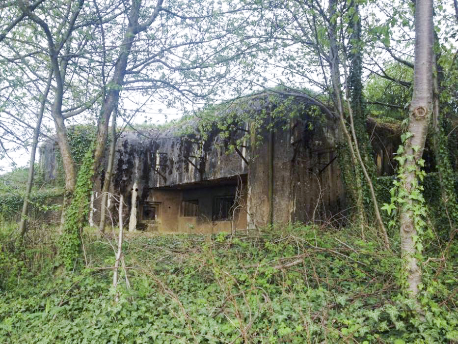 Ligne Maginot - BOIS de HOFFEN Ouest ( Casemate d'infanterie ) - 