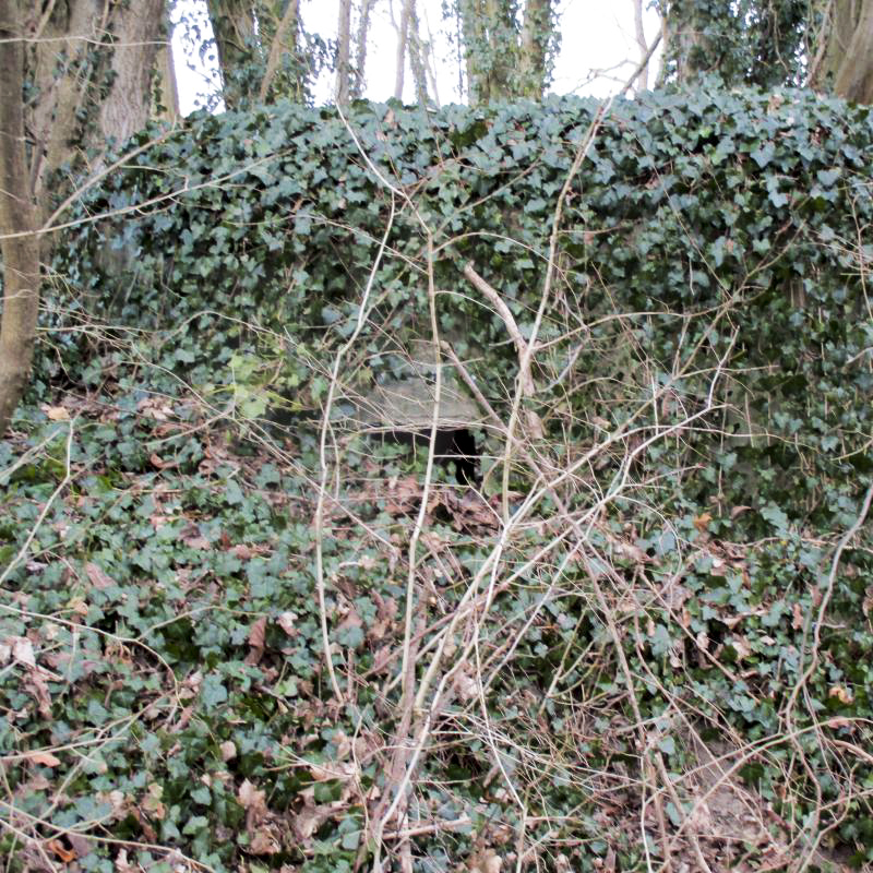 Ligne Maginot - BERNHOHLKOEPFEL 1 - (Blockhaus pour arme infanterie) - Créneau de droite