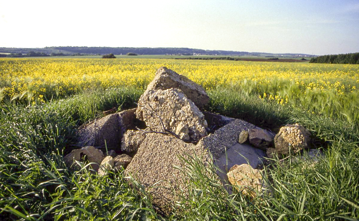 Ligne Maginot - DO4 - FOND DES MOULINS  - (Observatoire d'artillerie) - En 1993 - Valentin Hemmert