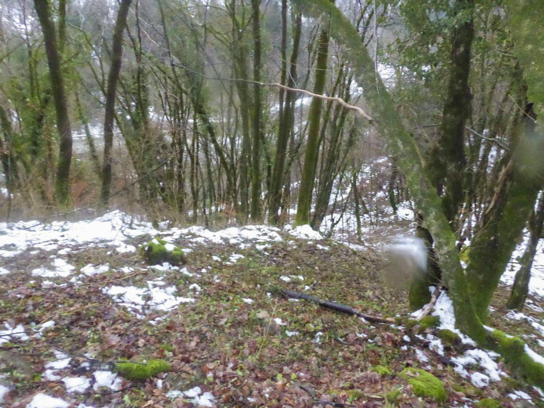 Ligne Maginot - F103 - NANT DEBOUT - HS122 - (Blockhaus pour arme infanterie) - Vu vers le bas, la route et le torrent