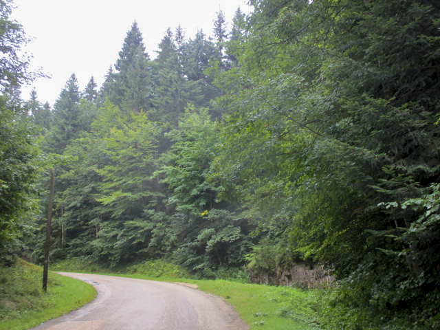 Ligne Maginot - B33 - MONT DES CONDUITS - (Abri) - Situé dans son environnement à proximité d'un chemin rural. - Randonneur62