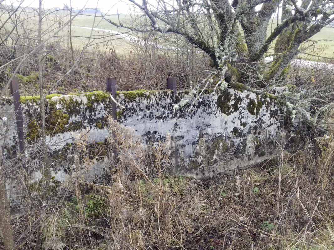 Ligne Maginot - B41 - FRANOIS - (Casemate d'infanterie - Double) - Fossé antichar
