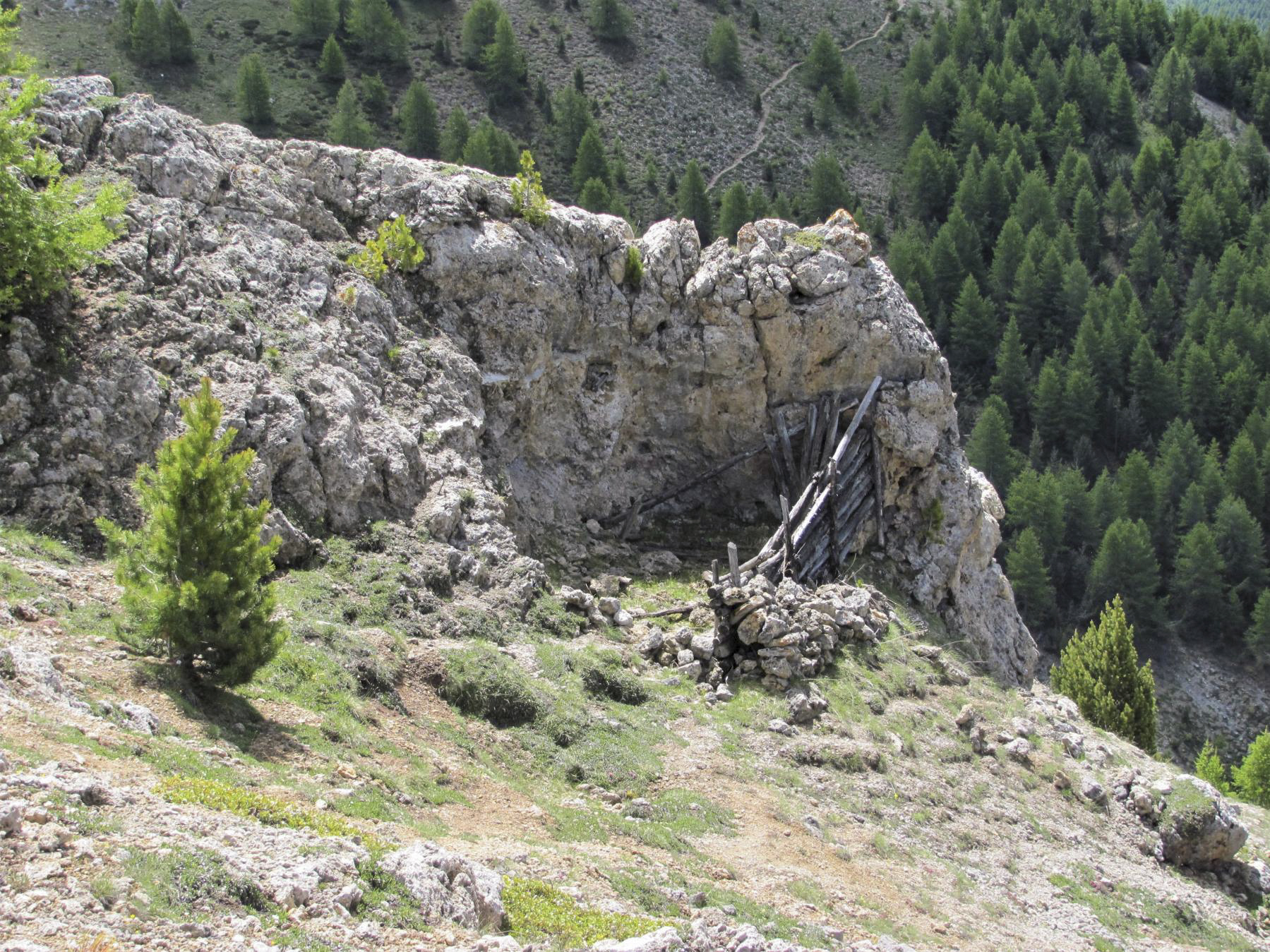 Ligne Maginot - COL FROMAGE - (Abri) - L'abri en rondin doublé d'un mur de pierres