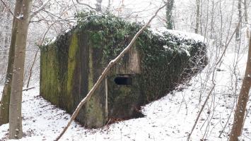 Ligne Maginot - HAUTE DIGUE 7 - (Blockhaus pour arme infanterie) - Créneau mitrailleuse nord