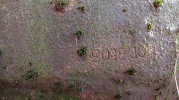 Ligne Maginot - FROHMUHL (PC DU QUARTIER KAPELLENHOF - II/153° RIF) - (Abri) - Détail de la cloche Guetteur Fusil Mitrailleur du coffre d'entrée Est