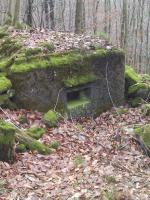 Ligne Maginot - M9 - TRAUTBACH 1 - (Blockhaus pour arme infanterie) - Le créneau pour mitrailleuse