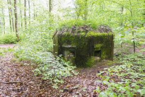 Ligne Maginot - FM30 - NONNENHARDT EST 2 - (Blockhaus pour arme infanterie) - 