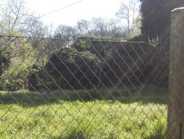 Ligne Maginot - SCHERHOL 1 ( Blockhaus pour arme infanterie ) - Caché dans le lierre