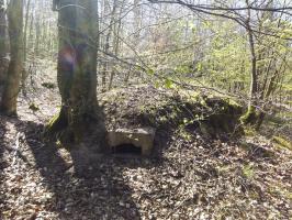 Ligne Maginot - SCHMELZBACH 5 ( Blockhaus pour arme infanterie ) - 