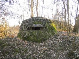 Ligne Maginot - STATION DE SURBOURG 1 - (Blockhaus de type indeterminé) - 