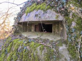 Ligne Maginot - STATION DE SURBOURG 1 - (Blockhaus de type indeterminé) - 