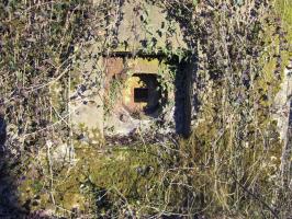 Ligne Maginot - STATION DE SURBOURG 1 - (Blockhaus de type indeterminé) - 