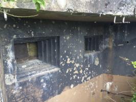 Ligne Maginot - BOIS DE HOFFEN EST - O3 - (Casemate d'infanterie - Simple) - 